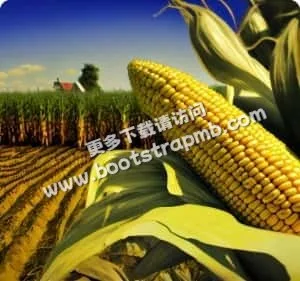 用户至上，专业服务 - 爱游戏